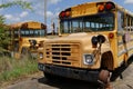 School bus cemetery