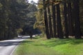 Natchez Trace Highway Royalty Free Stock Photo