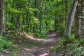 Natchez Trace Parkway in Tennessee, USA Royalty Free Stock Photo