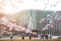 The National Art Center, Tokyo, JAPAN - APRIL 1ST: Unidentified tourists enjoy the spring sakura cherry blossomsa.