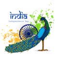 National bird Peacock for Indian Independence Day. Royalty Free Stock Photo