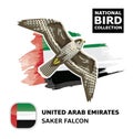 National Bird Set UAE Saker Falcon Vector Character Royalty Free Stock Photo