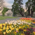 The National Botanic Gardens of Ireland