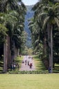 The National Botanical Garden in Kandy, Sri Lanka