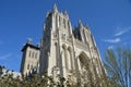 National Cathedral, Washington DC Royalty Free Stock Photo