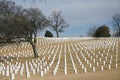 National Cemetery Royalty Free Stock Photo