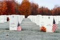 National Cemetery 2