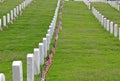 National Cemetery Headstones & Flags Royalty Free Stock Photo