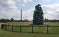 The National Christmas Tree in Washington, DC, USA