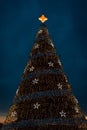 The National Christmas Tree at night, in Washington, DC Royalty Free Stock Photo