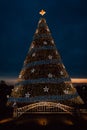 The National Christmas Tree at night, in Washington, DC Royalty Free Stock Photo