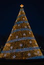 The National Christmas Tree at night, in Washington, DC Royalty Free Stock Photo