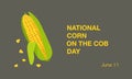 National Corn on the Cob Day banner on June 11th. Cob of sweet golden corn, grains, maize. Summer food vector