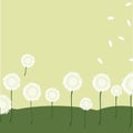 National Dandelion Day Field of Dandelions Flat Art Style Illustration