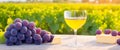 National drink wine day. 18 February. Grape wine in glass full of alcohol drink. wine glass, red grapes brunch and cheese with