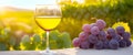 National drink wine day. 18 February. Grape wine in glass full of alcohol drink. wine glass, red grapes brunch and cheese with