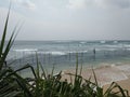 National fishing locals of Sri Lanka on poles off the coast of the Indian ocean Royalty Free Stock Photo