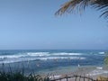 National fishing locals of Sri Lanka on poles off the coast of the Indian ocean Royalty Free Stock Photo