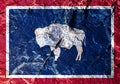 National flag of American state Wyoming on blue with a red border painted on mountain wall. In center is silhouette white bison