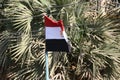 National flag of Arab Republic of Egypt. The Egyptian flag waving. flag fluttering in the wind Royalty Free Stock Photo