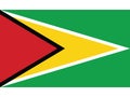 National Flag of Guyana