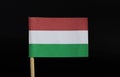 A national flag of Hungary on toothpick on black background. A horizontal triband of red, white and green