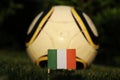 National flag of ireland on wooden stick stabbed in grass and soccer ball in background serve as decoration. World Championship Royalty Free Stock Photo