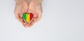 The national flag of Mali in the shape of a heart of arms in female hands. Royalty Free Stock Photo