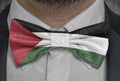 National flag of Palestine on bowtie business man suit