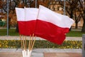 National flag of Poland.