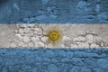 National flag of the state of Argentina on the texture of a rough, old stone wall with cracks, the concept of historical, tourism Royalty Free Stock Photo