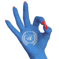 The national flag of the United Nations is drawn on a female hand showing the OK sign