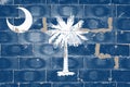 National flag of the USA state of South Carolina on blue background with a white outline of a palm tree in center. White crescent Royalty Free Stock Photo