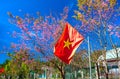 National flag of Vietnam is fluttering in front of people`s yards to welcome spring