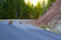 Landslide Blocked Road