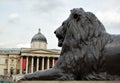 The National Gallery with a bronze lion Royalty Free Stock Photo