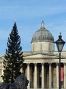 National Gallery and Christmas tree, Trafalgar Square Royalty Free Stock Photo