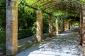 The National Garden(formerly the Royal Garden) of Athens