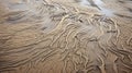 Ephemeral Patterns: Organic Formations Of Waves And Ripples On Sandy Floors