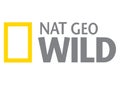 National Geographic Wild Logo