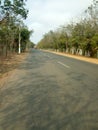 NATIONAL HIGHWAY OF INDIA THROUGRH FOREST SAL TREE