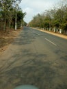 NATIONAL HIGHWAY OF INDIA THROUGRH FOREST SAL TREE