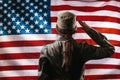 National holidays in the United States. A female soldier saluting, against the background of the American flag. Rear view. Copy Royalty Free Stock Photo