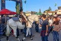 National horse fair in Golega with a little girl sitting on a white horse and people watching