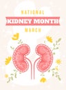 National Kidney month vector illustration in flat cartoon style. Healthy human kidney on floral background