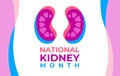 The National Kidney Month vector illustration. Banner, poster for prevention of kidney diseases. Two human kidneys in an abstract