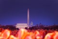 Lincoln memorial Washington Monument, US Capitol Royalty Free Stock Photo