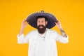 National mexico holiday. mexican hat sombrero and mustache. man in festive mood at party celebrating. 5th of may. brutal