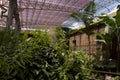 Butterfly garden in the national museum of Costa Rica