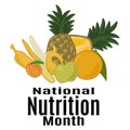 National Nutrition Month, Set of fruits as an idea for a poster, banner, flyer or postcard Royalty Free Stock Photo